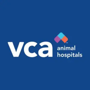 vca animal hospitals